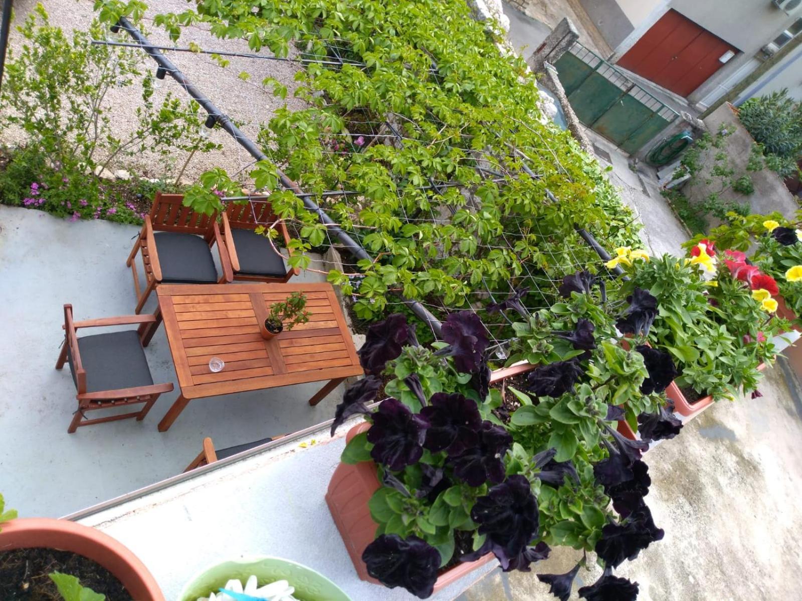 Green Oasis City Center Apartment ชิเบนิก ภายนอก รูปภาพ